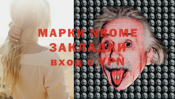 мет Алексин