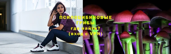 мет Алексин