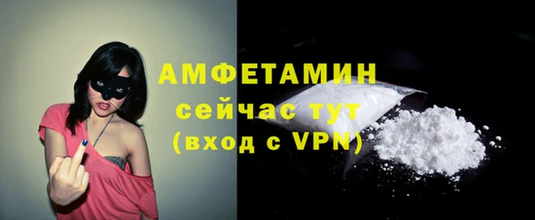 мет Алексин