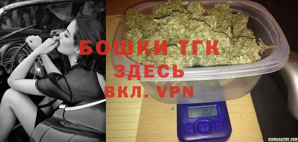 мет Алексин